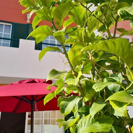 بيت للعطل The Lemon Yard House, 3 Bedrooms, Patio And Barbecue, In Olhao